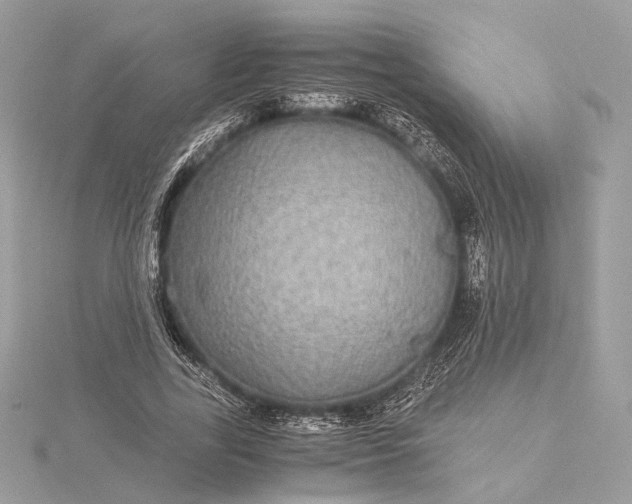 X0000116000731200912031508