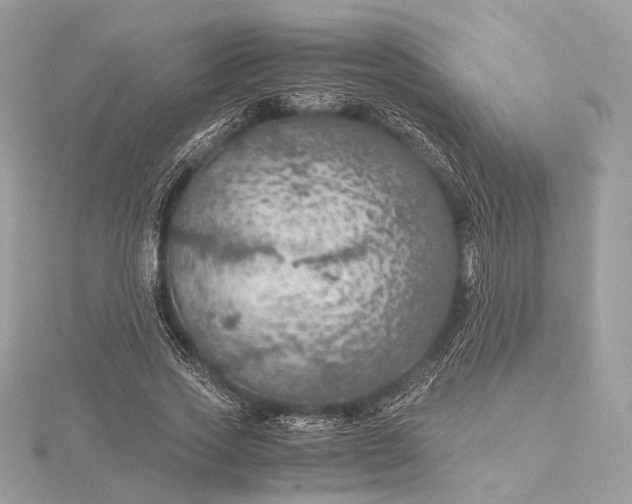 X0000116000733200912031508