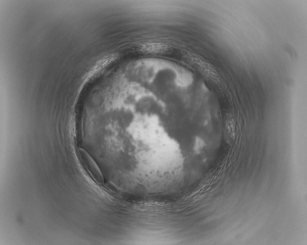 X0000116000734200912031508