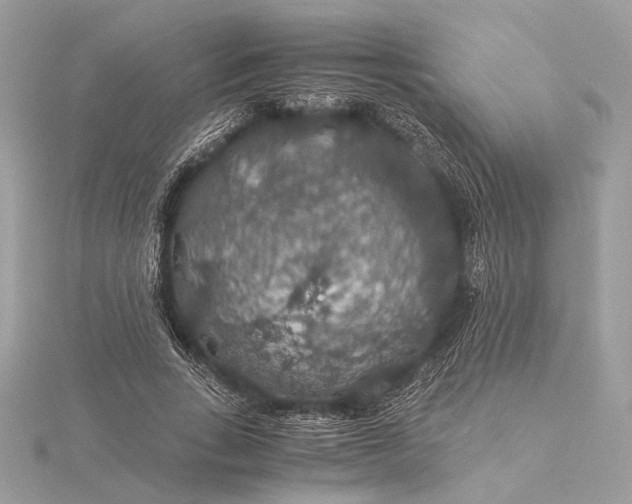 X0000116000735200912031508