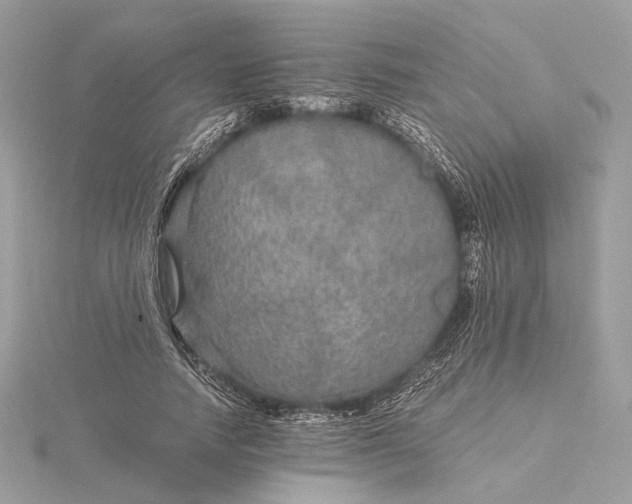 X0000116000738200912031508