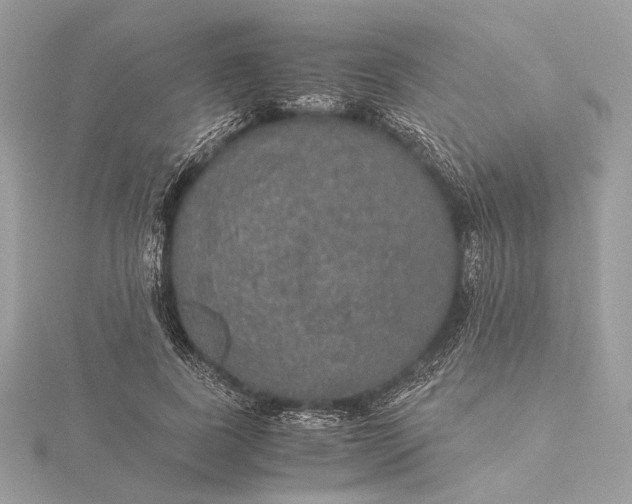 X0000116000739200912031508