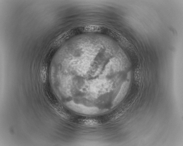 X0000116000741200912031508