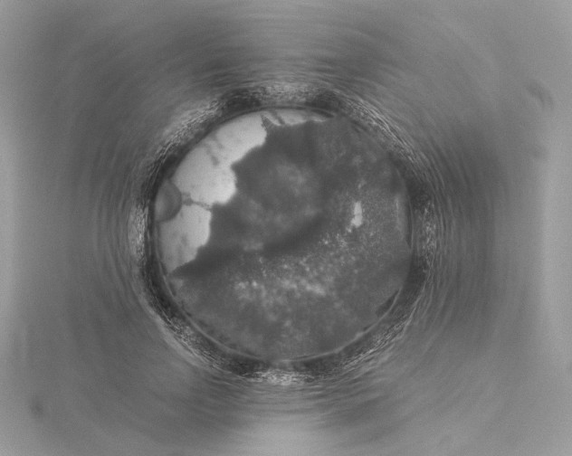 X0000116000742200912031508