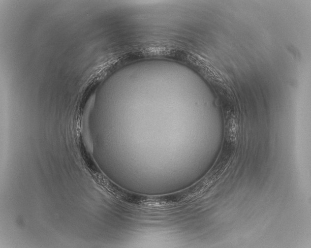 X0000116000746200912031508