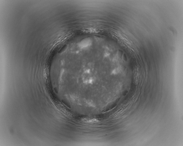 X0000116000747200912031508