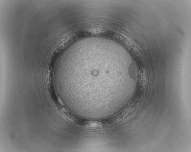 X0000116000750200912031509