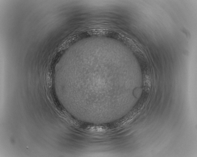 X0000116000751200912031509