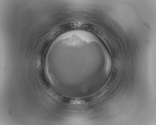 X0000116000754200912031509