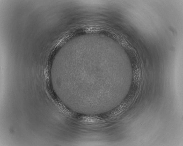 X0000116000755200912031509