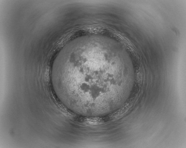 X0000116000757200912031509