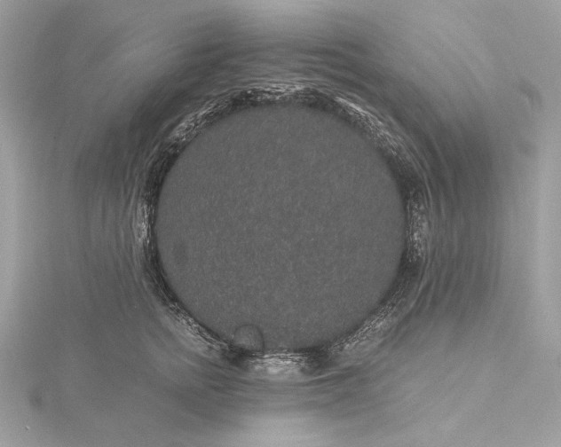 X0000116000758200912031509