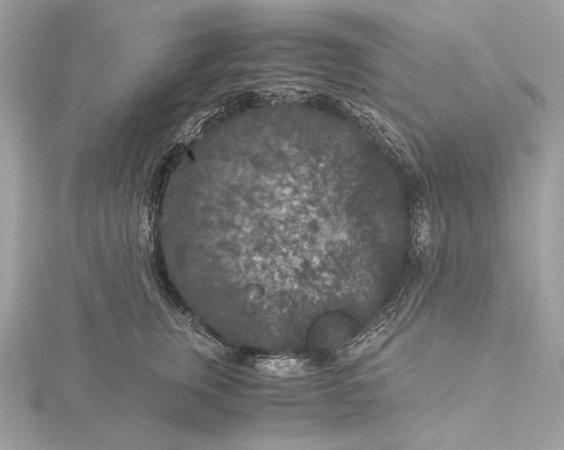 X0000116000759200912031509