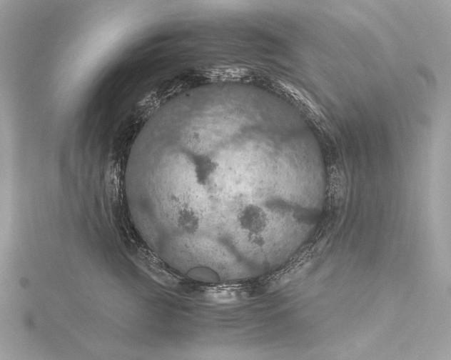 X0000116000761200912031509