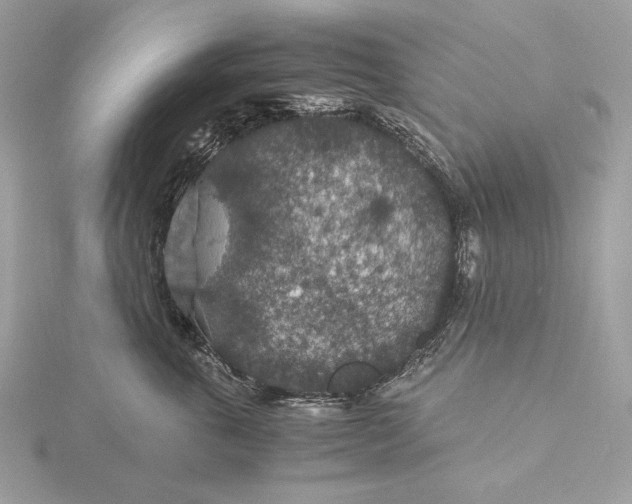 X0000116000763200912031509