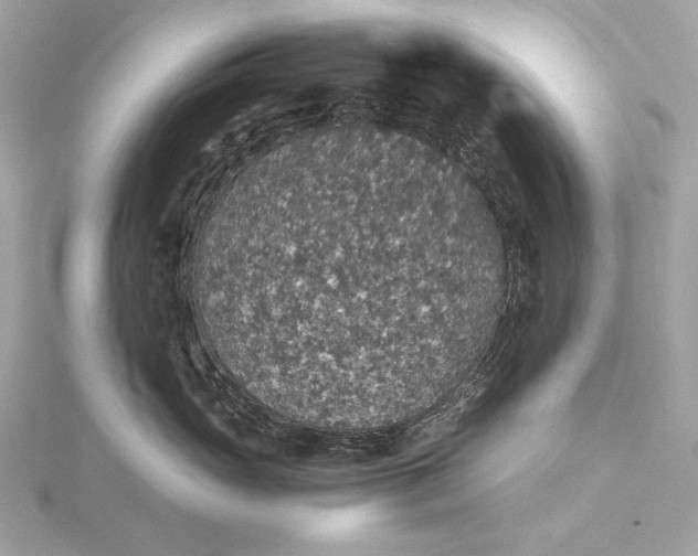 X0000116000765200912031509