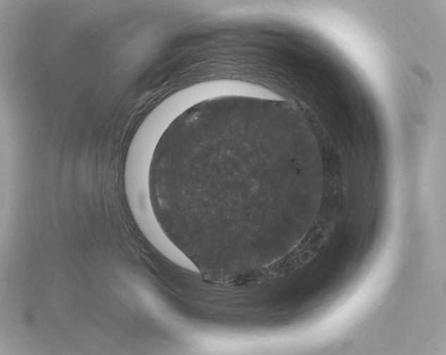 X0000116000766200912031509