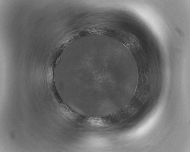 X0000116000767200912031509