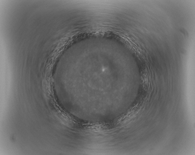 X0000116000769200912031508