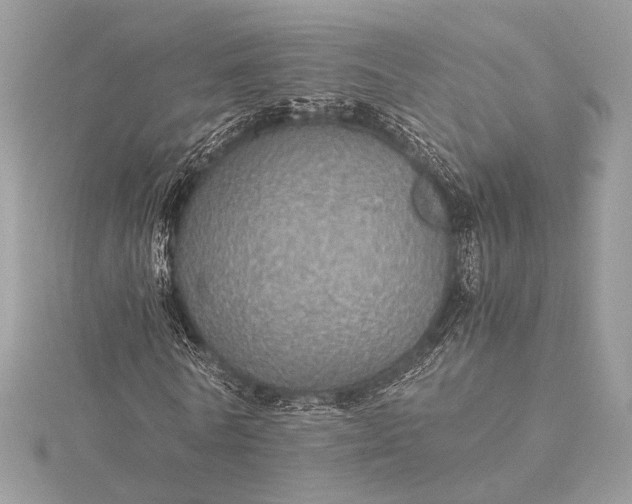 X0000116000770200912031508