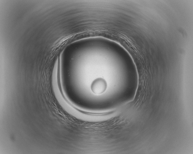 X0000116000773200912031508