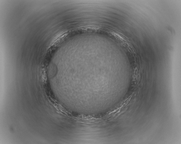 X0000116000774200912031508