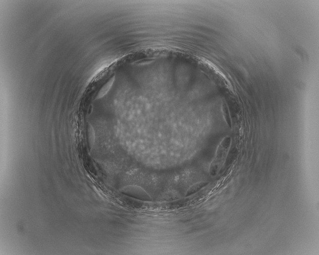 X0000116000775200912031508