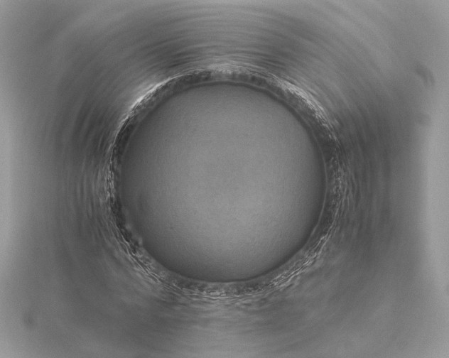 X0000116000776200912031508