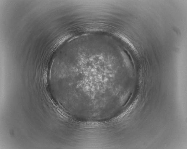 X0000116000777200912031508