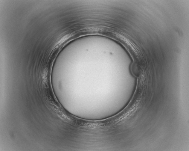 X0000116000778200912031508