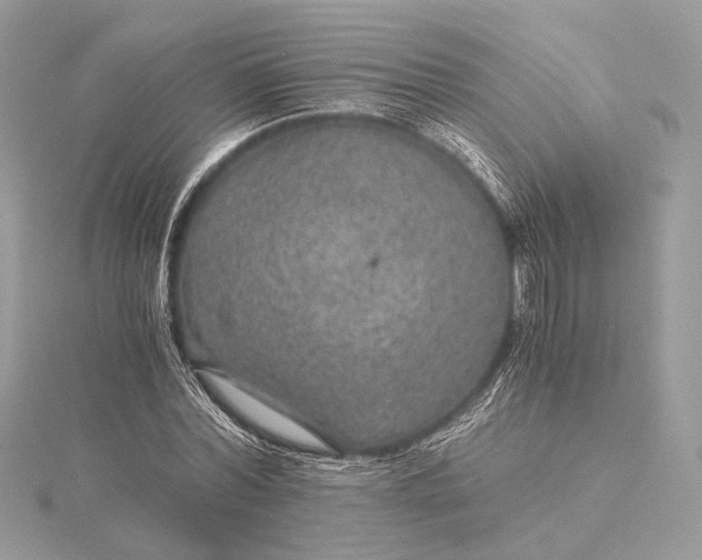 X0000116000780200912031508