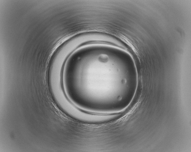 X0000116000781200912031508