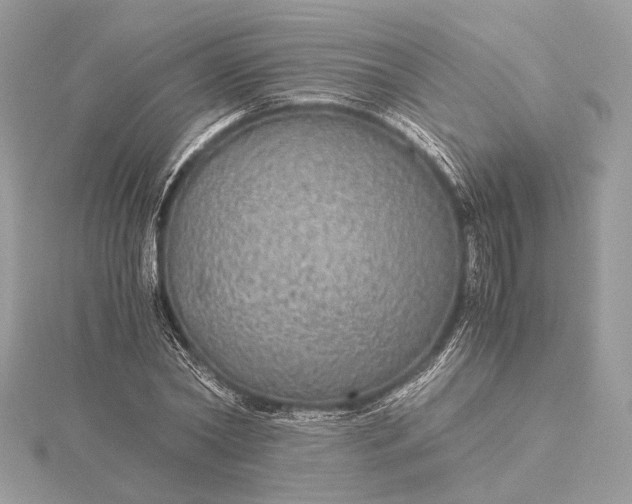 X0000116000782200912031508