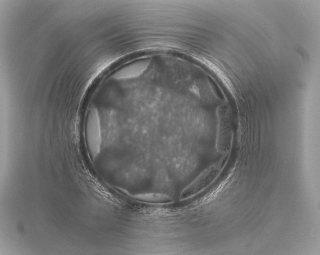 X0000116000783200912031508