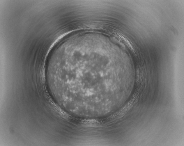 X0000116000784200912031508