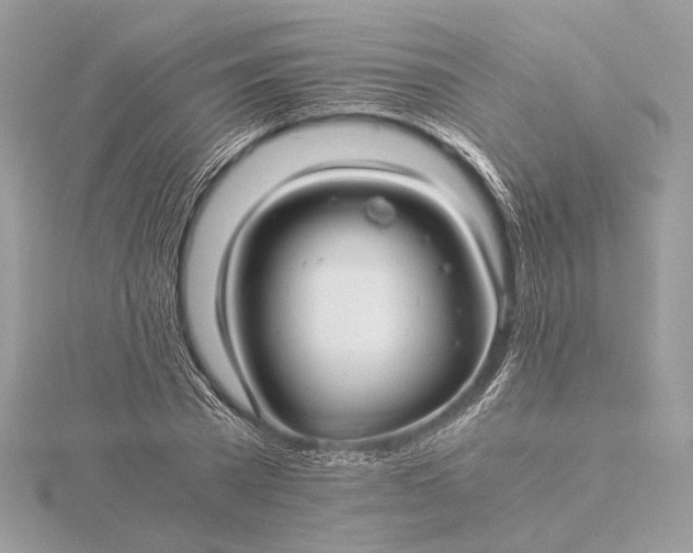 X0000116000785200912031508