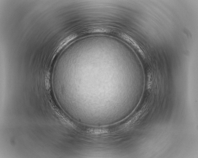 X0000116000786200912031508