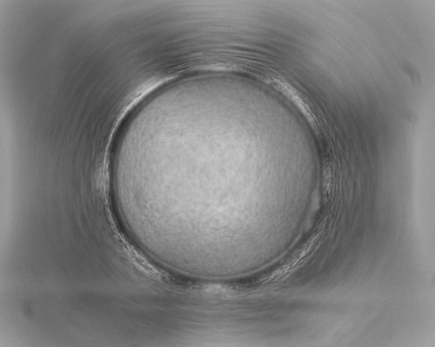 X0000116000787200912031508