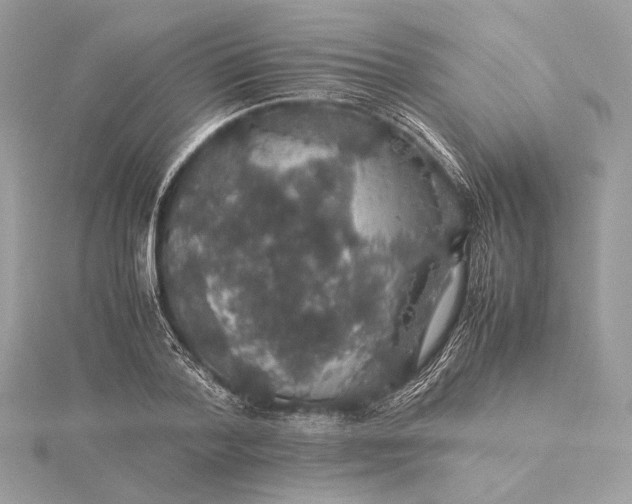 X0000116000788200912031508