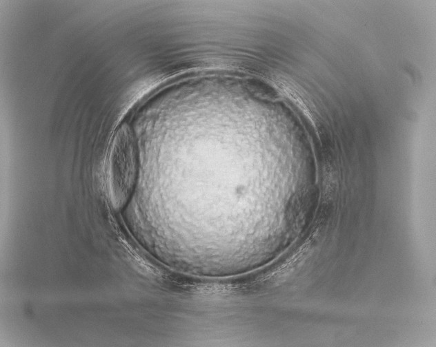 X0000116000789200912031508