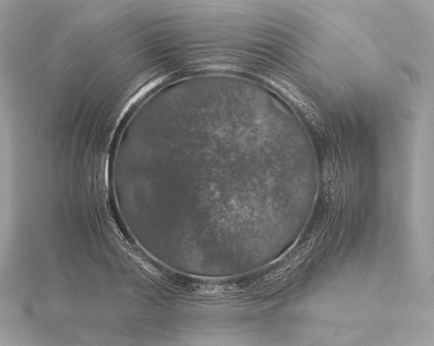 X0000116000790200912031508