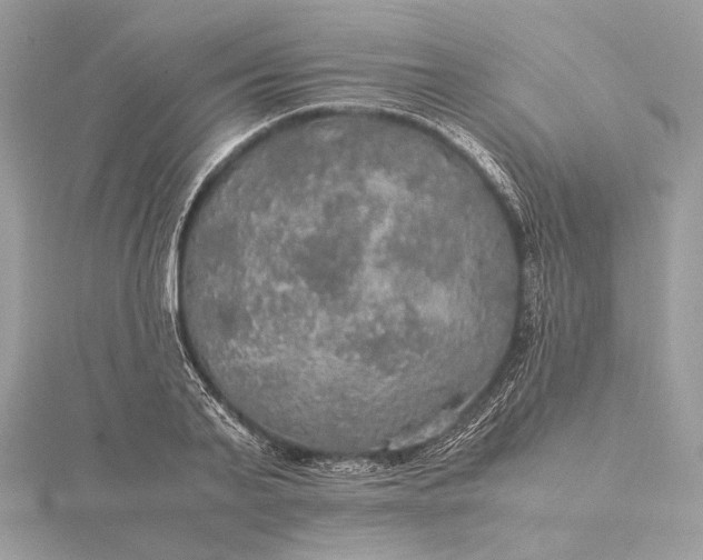 X0000116000791200912031508