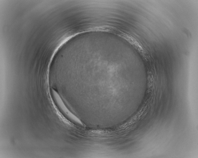 X0000116000792200912031508