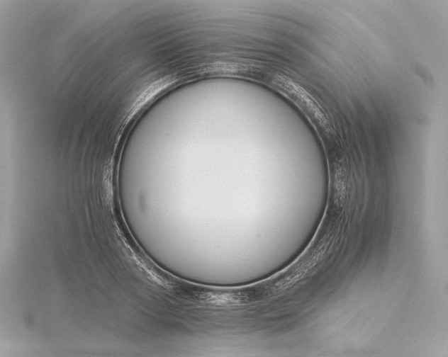 X0000116000794200912031508