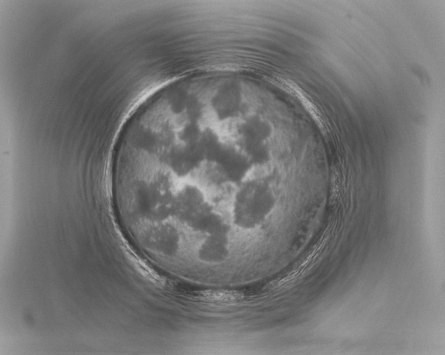 X0000116000795200912031508