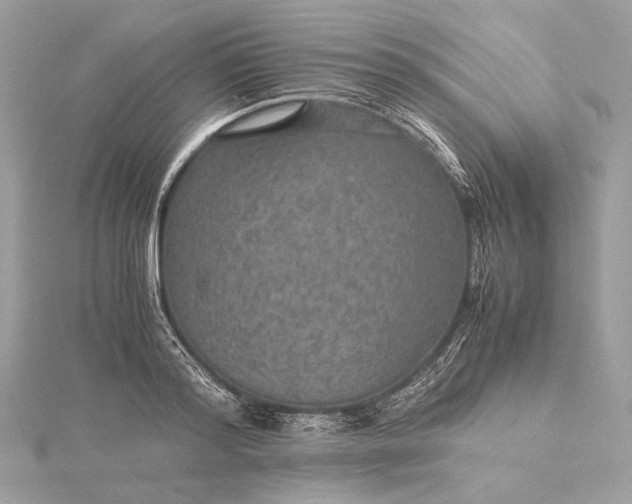 X0000116000796200912031508