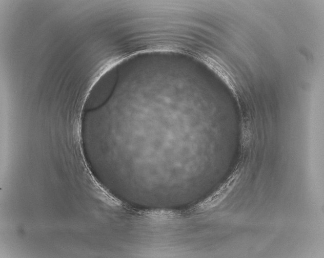 X0000116000797200912031508