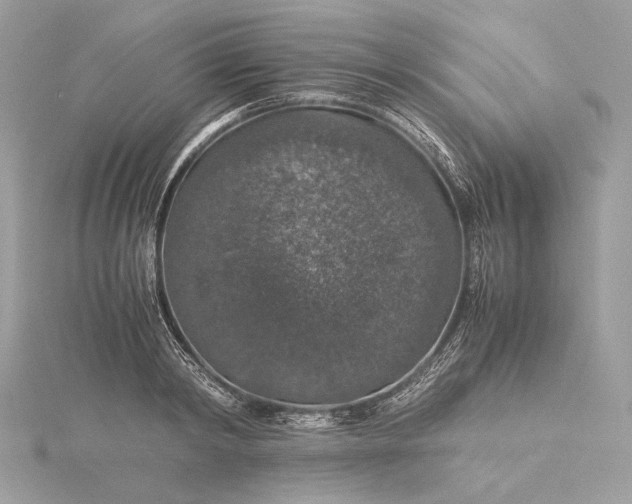 X0000116000798200912031508