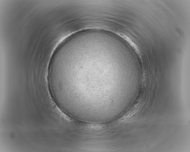 X0000116000799200912031508