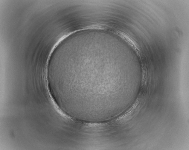 X0000116000800200912031508